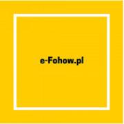 E-fohow.pl - Europejskie Przedstawicielstwo