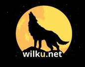 Patryk Wolf SEO & Web Design - Wilku.net